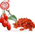 Goji berry 280 grains soigneusement sélectionnés avec prix usine raisonnable